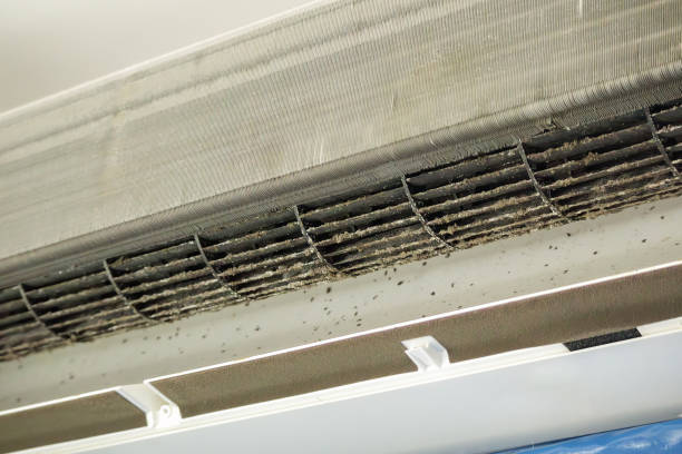 Best HVAC System Cleaning  in Allardt, TN
